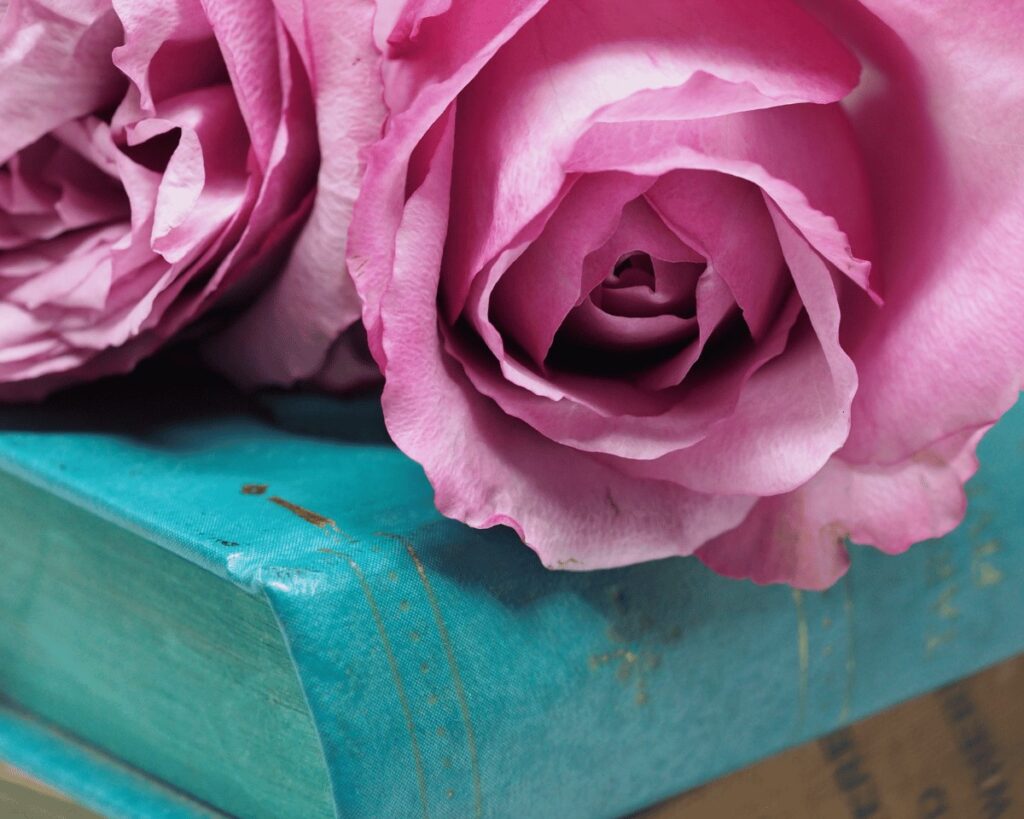 cancellation and rescheduling policy